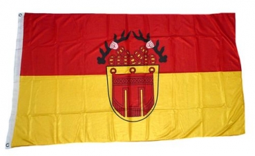 Flagge Fahne Tübingen 90 x 150 cm